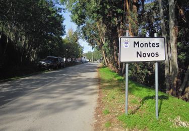 Tocht Te voet Salir - Montes Novos - Photo