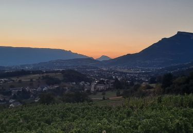 Tocht Stappen Saint-Jeoire-Prieuré - Tours de Chignin  - Photo