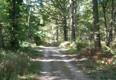 Excursión Senderismo Pontault-Combault - bois celie - Photo