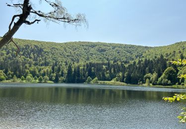 Percorso Marcia La Bresse - Tourbière de Machais, lac de Blanchemer, etc. - Photo