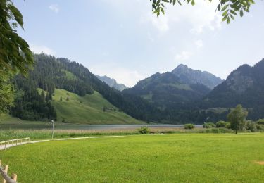 Excursión A pie Plaffeien - Schwarzsee Bad Seeweid - Patraflon - Photo