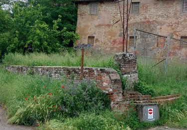 Trail Walking Castelfiorentino - CR_Francigena_DB_38_Castelfiorentino_San-Gimignano_20230520 - Photo