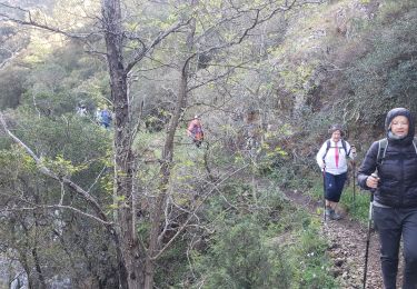 Randonnée Marche Roquebrune-sur-Argens - Le lac des Clos - Photo