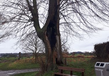 Tocht Noords wandelen Olne - olne - Photo