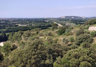 Tocht Stappen Tarascon - 2024-06-25 - Photo