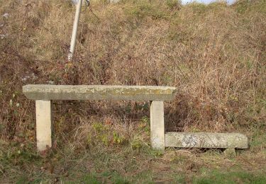 Percorso A piedi Vaihingen an der Enz - Vaihinger Rundweg - Photo