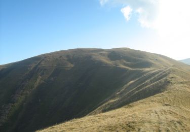 Excursión A pie Săcele - Cabana Rențea - Culmea Zamora - Photo