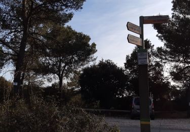 Trail Walking Signes - Abime des morts Maramoye les 4 chemins  la limate  - Photo