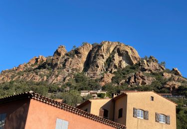 Trail Walking Théoule-sur-Mer - Autour de Theoule - Photo