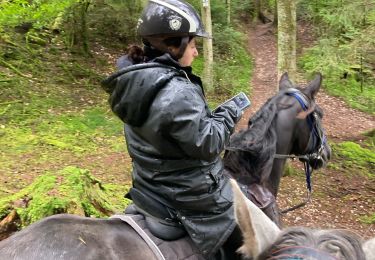 Randonnée Randonnée équestre Badonviller - Balade jeunes automne Elodie  - Photo