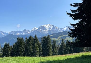 Tocht Stappen Combloux - Com loud - Photo