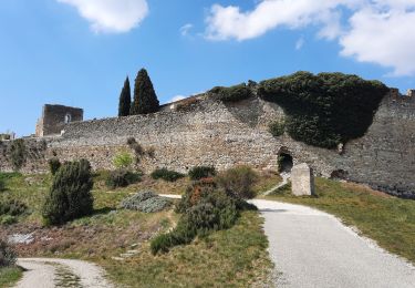 Randonnée Marche Rochefort-en-Valdaine - Citelles et Rochefort en Valdaine 8km - Photo