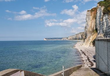 Randonnée Marche Vattetot-sur-Mer - vattetot - yport - Photo