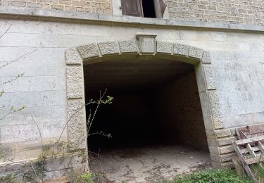 Tour Elektrofahrrad Saint-Clément - sortie vtt 16042023 forêt de Grammond  - Photo