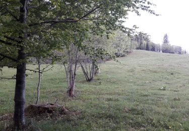 Tocht Stappen Sarcenas - col de porte exam ens - Photo