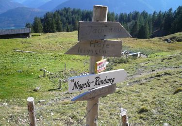 Trail On foot Jachenau - AV Weg 492 (Staffel) - Photo
