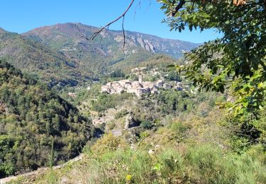 Trail Walking Vallées-d'Antraigues-Asperjoc - attribués sur volane - Photo