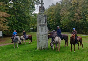 Percorso Equitazione Hinsbourg - 2019-10-11 Rando CVA Moderfeld vers Reipertswiller - Photo