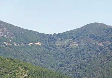 Tocht Te voet Àrthana/Arzana - (SI Z19) Terra Ona- Caserma Forestale Montarbu - Photo