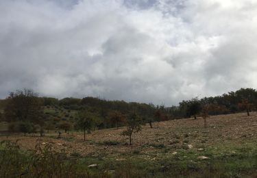 Randonnée Marche Turenne - Turenne - Photo