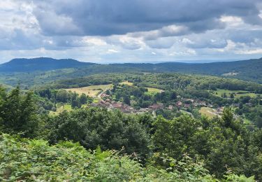 Randonnée Marche Belverne - Belverne - grotte des prisonniers allemands - Etobon - Photo