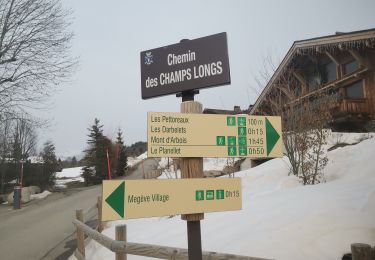 Tocht Sneeuwschoenen Megève - Raquette Pettoreaux TFM puis ThiMar - Photo