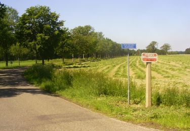 Randonnée A pied Hellendoorn - WNW Twente - Hulsen/Wierdenseveld - gele route - Photo