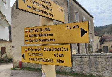 Excursión Senderismo Arcenant - Sentiers patrimoine et Marianne : Arcennant - Photo