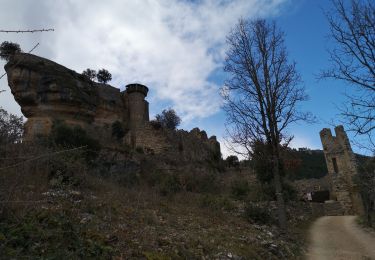 Tour Wandern Rivière-sur-Tarn - Puech de Fontaneilles - Photo