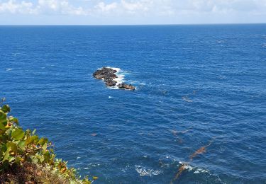 Tour Wandern Le Lorrain - Boucle Stade - Pharose -- La Crabière  - Photo