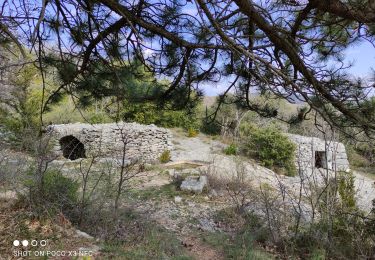 Tocht Stappen Saint-Saturnin-lès-Apt - 2021-04-04 Fontaine des noyers les aiguiers chri - Photo