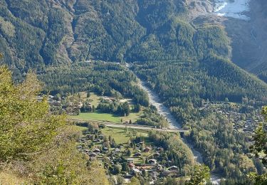 Trail Walking Chamonix-Mont-Blanc - 20231012 Chamonix Bois Prin Gaillants - Photo