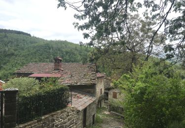 Excursión A pie Pratovecchio Stia - Sentiero 4 – da Molino di Bucchio a Monte Falterona - Photo