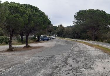 Percorso Marcia Bormes-les-Mimosas - Trapan ,Pelegrin,Argentiere, la Londe ,Trapan. - Photo