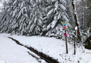 Trail Walking Bonnefond - Chadebech, bleue - Photo