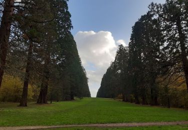 Excursión Senderismo Mennecy - parc de Villeroy - Photo