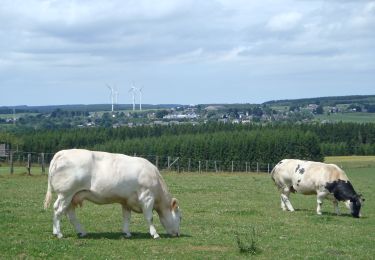 Tocht Stappen Gouvy - RB-Lu-29_Courtil_variante - Photo