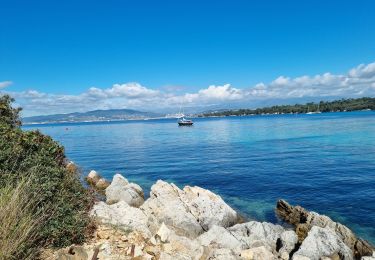 Trail Walking Cannes - z St honorat 07-05-24 - Photo