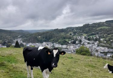 Randonnée Marche La Bourboule - La Bourboule - Roche de Vendée- Rocher de l Aigle - Photo