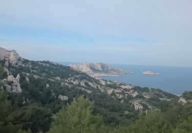 Randonnée Marche Marseille - Marseilleveyres - Photo