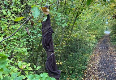 Trail Walking Gerpinnes - Rando d’automne  - Photo