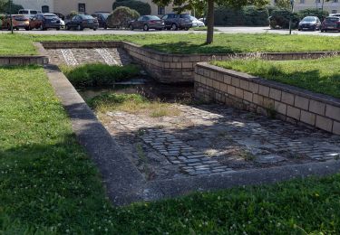 Tocht Te voet Gemeinde Laxenburg - Rudolf Runde - Photo