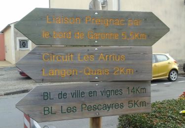 Trail On foot Toulenne - Les Pescayres : boucle locale - Photo
