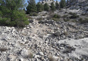 Excursión Senderismo La Valette-du-Var - la valette du var/le mont faron  - Photo