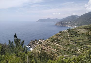 Randonnée Marche Riomaggiore - Manarola-Riomaggiore-3kmD250m - Photo