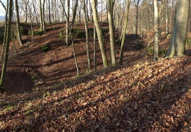 Excursión A pie Pretzfeld - Rundweg Wannbach - Poppendorf - Photo