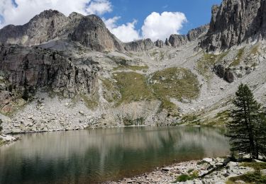 Trail Walking Isola - Tête Mercière et lac de Tavels - Photo