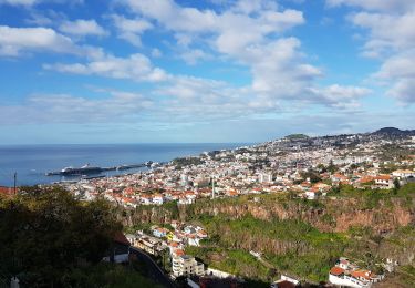 Tocht Stappen Funchal (Santa Maria Maior) - Monte par le Levada do Bom Sucesso (Rother n°2 inversé) - Photo