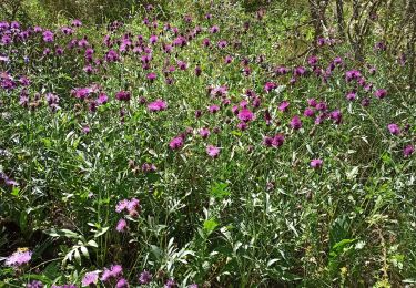 Excursión Senderismo Entrages - Antrages-Le Cousson-les hautes bâties-Antrages - Photo