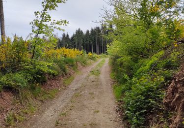 Trail Walking Aywaille - Harzé - Photo